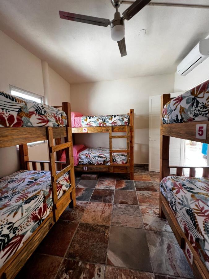 Hostal 布塞里亚斯 外观 照片